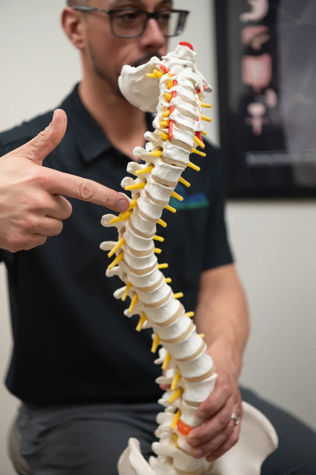 Dr. James Palmer pointing to the cervical spine on an anatomical model